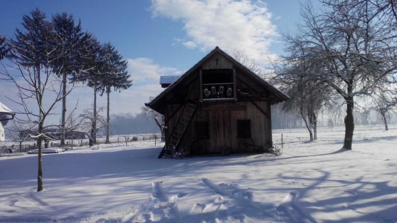 Apartamento Ranc Jures Ljutomer Exterior foto